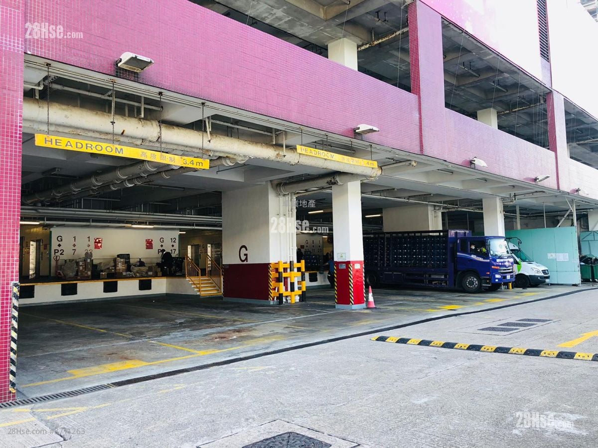 Kodak House Ii Rental