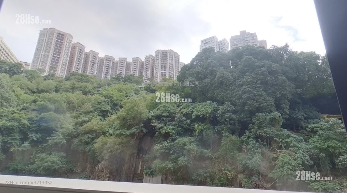 柏蔚山 售盤 4 房 , 3 浴室 804 平方呎