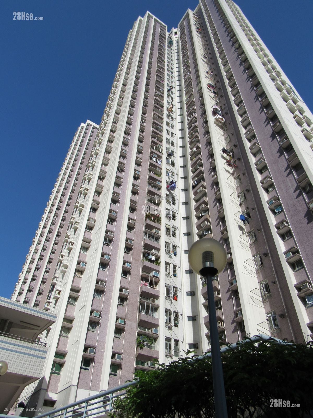 鸿福苑 售盘 3 房 , 1 浴室 645 平方尺