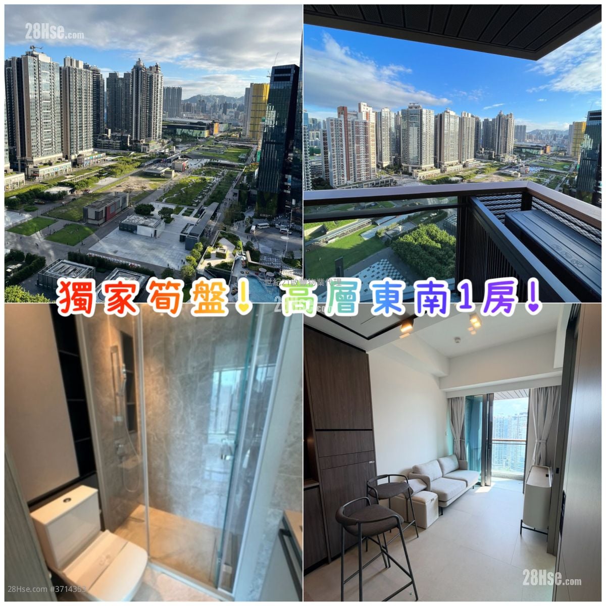 天玺天 售盘 1 房 , 1 浴室 299 平方尺