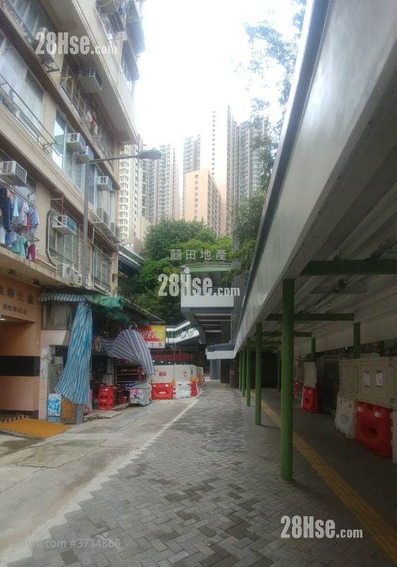 晓明阁 租盘 2 房 440 平方尺