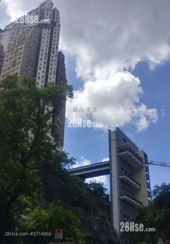 晓明阁 租盘 2 房 440 平方尺