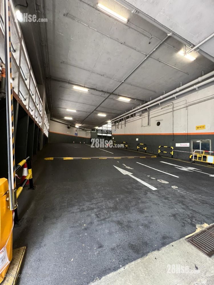 沙田工业中心 租盘