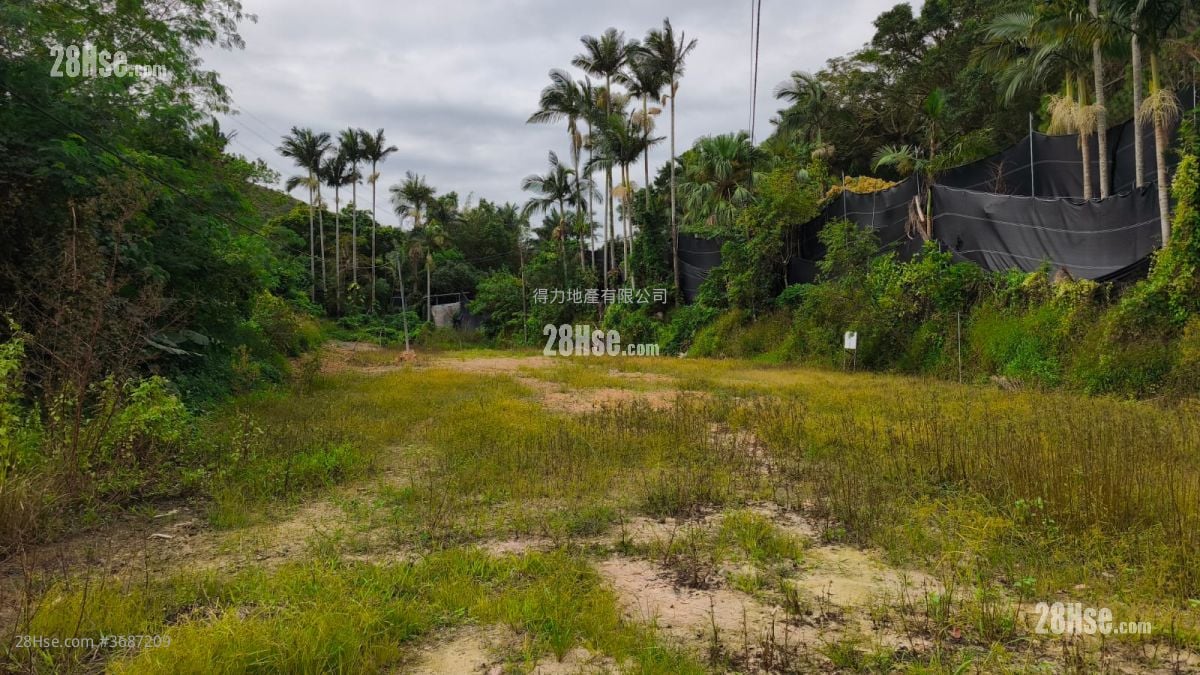 丹竹坑村 售盘 18,200 平方尺