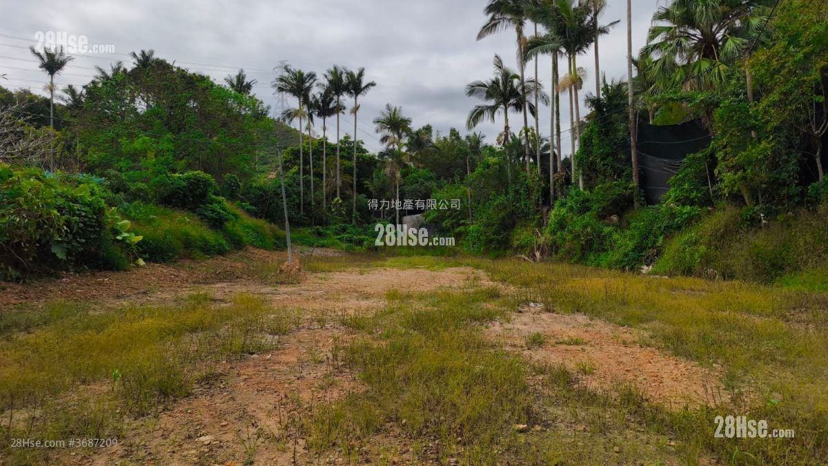 丹竹坑村 售盘 18,200 平方尺