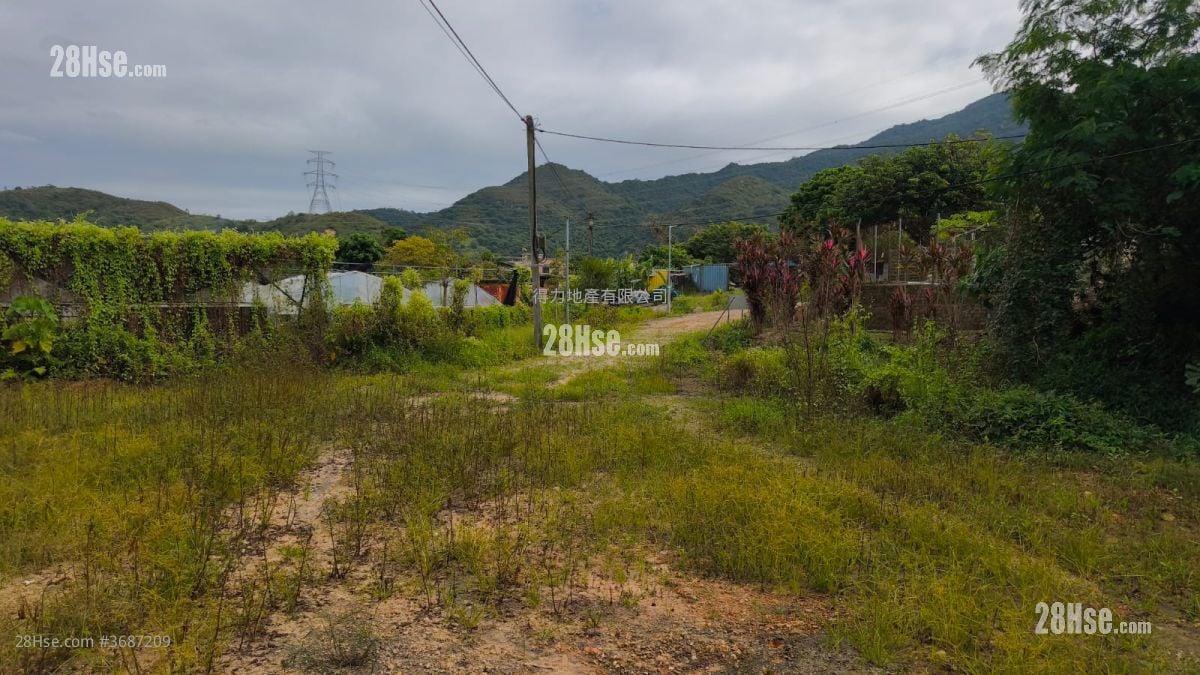 丹竹坑村 售盘 18,200 平方尺