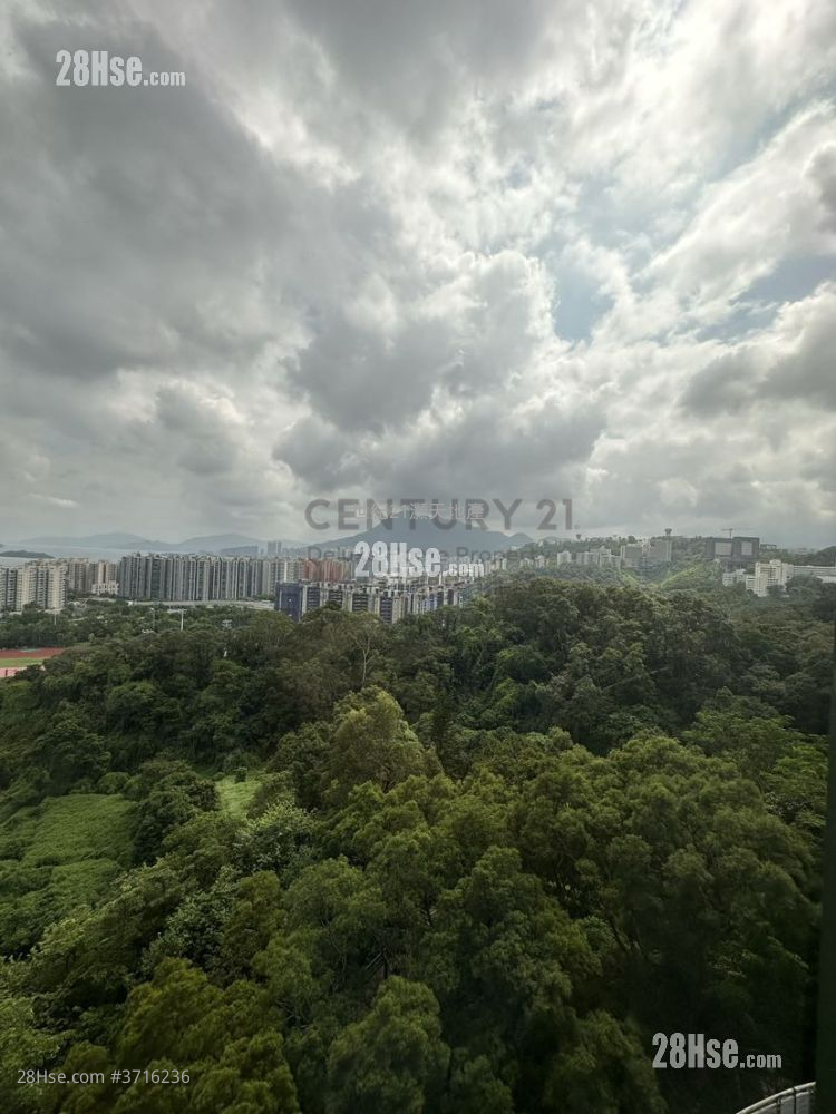 Deerhill Bay Sell 3 Bedrooms , 2 Bathrooms 1,105 ft²