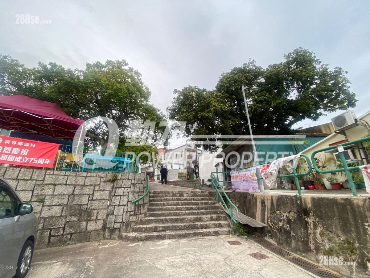 Sha Kok Mei Village Sell 2 Bedrooms , 2 Bathrooms