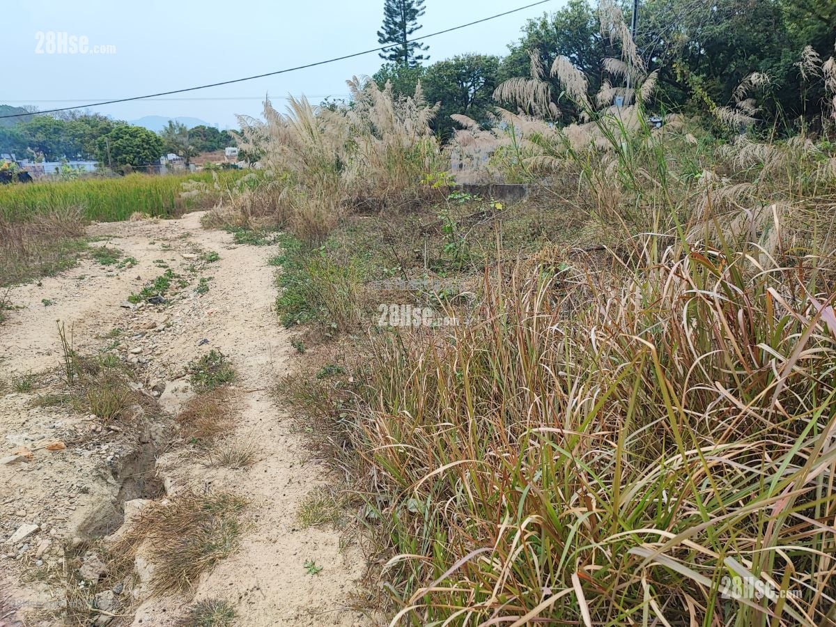 土地 售盘 11,000 平方尺