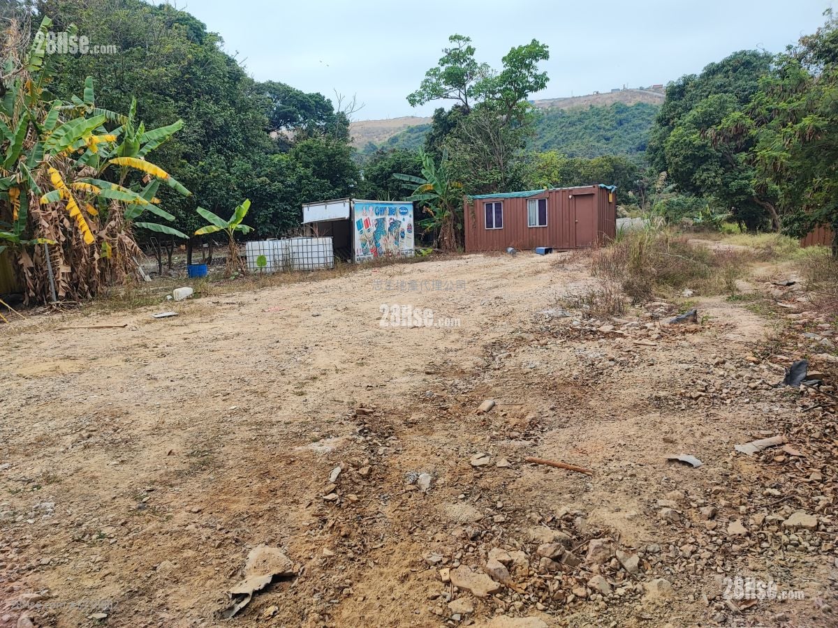 土地 售盘 11,000 平方尺