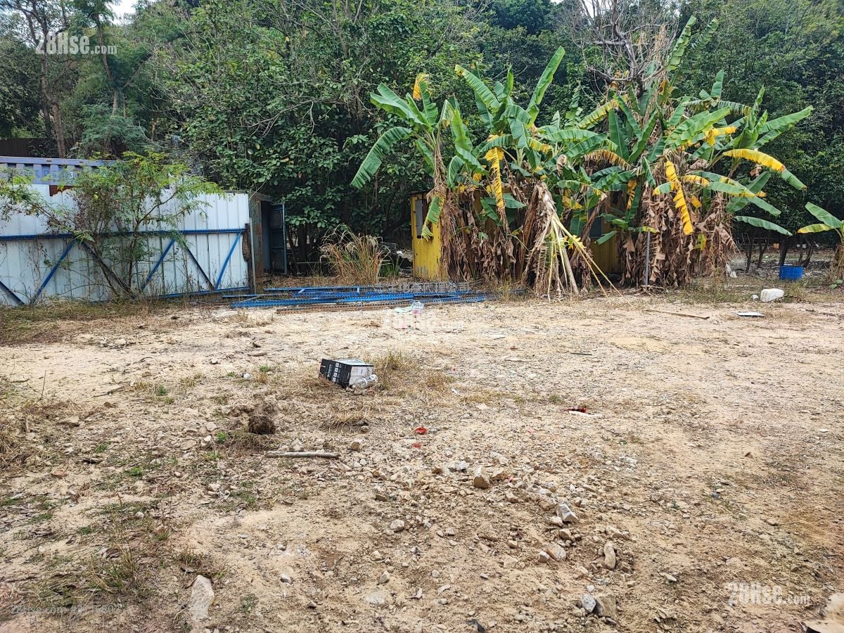 土地 售盘 11,000 平方尺