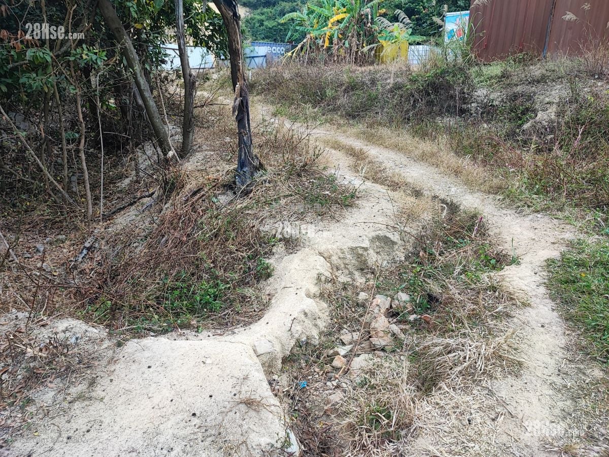 土地 售盘 11,000 平方尺