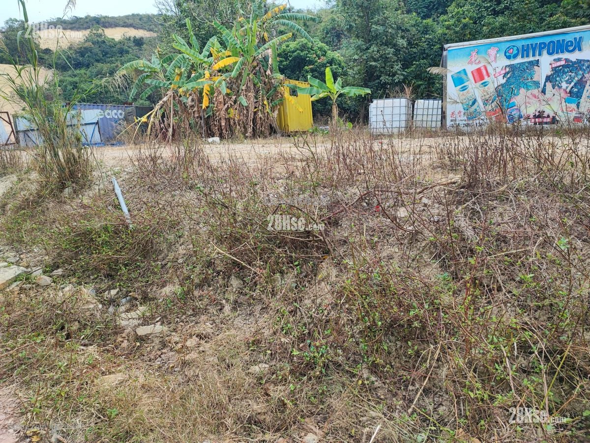 土地 售盘 11,000 平方尺