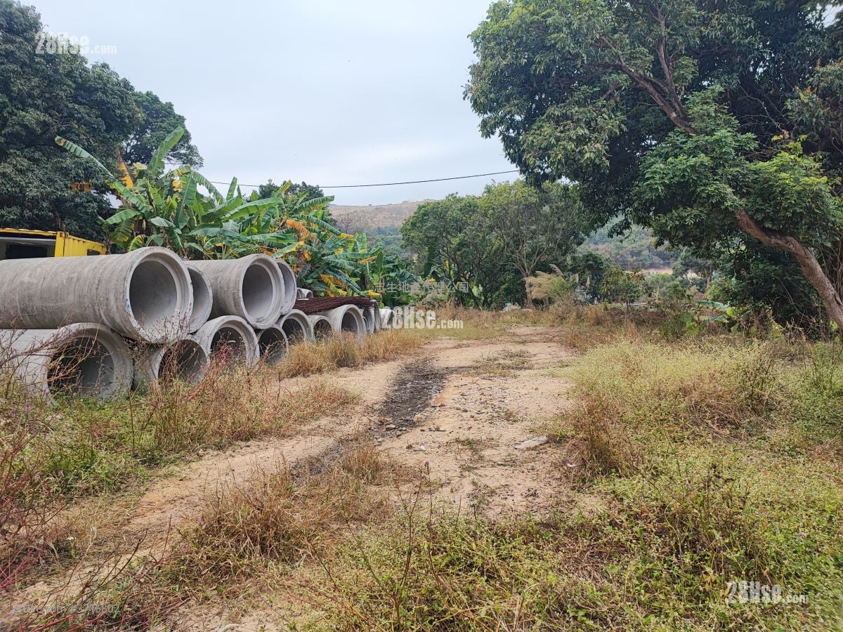 土地 售盘 11,000 平方尺