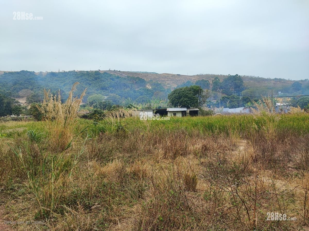 土地 售盘 11,000 平方尺