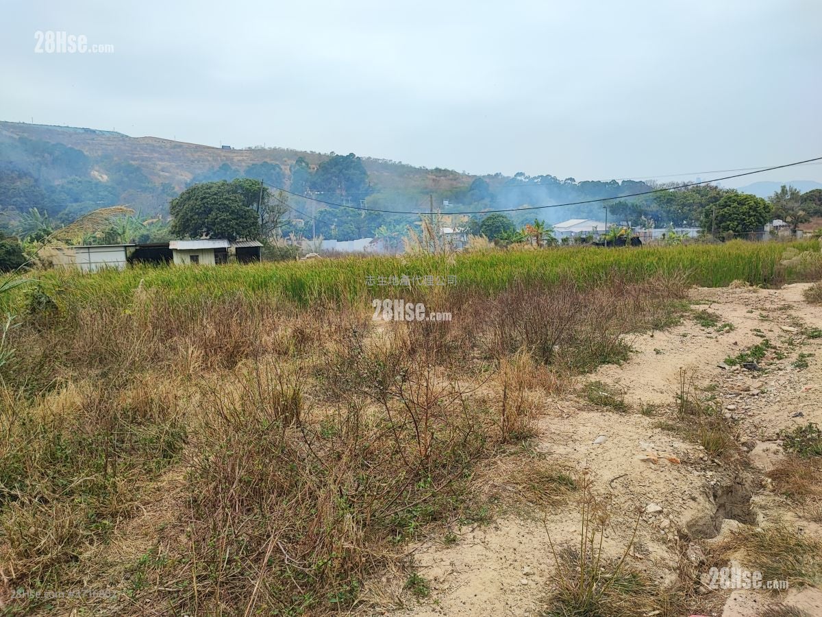 土地 售盘 11,000 平方尺