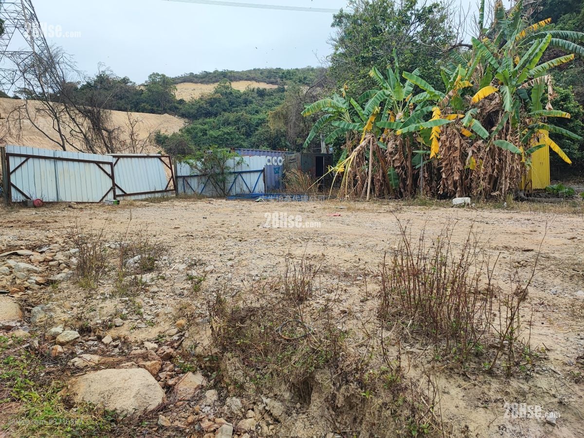 土地 售盘 11,000 平方尺