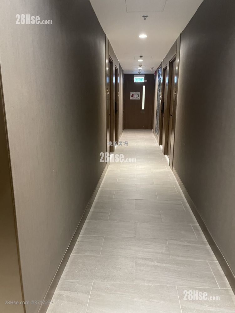 The Icon Rental 1 Toilet 168 ft²