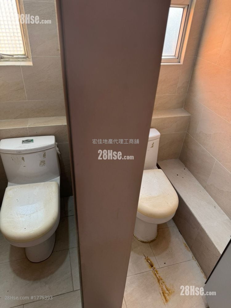 骆驼漆大厦 租盘 1 厕所