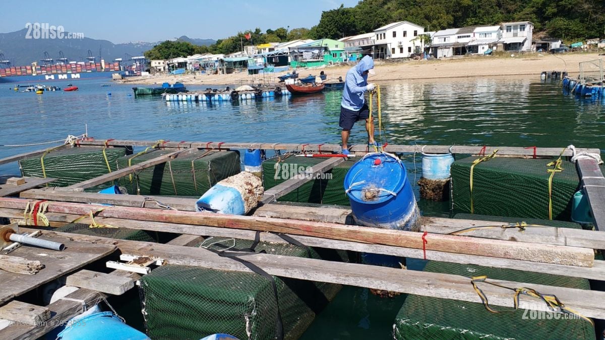 吉澳鱼排 售盘 1,550 平方尺