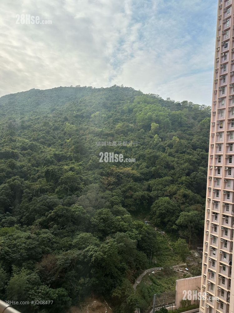 雍盛苑 租盤 開放式間隔 , 1 浴室 211 平方呎