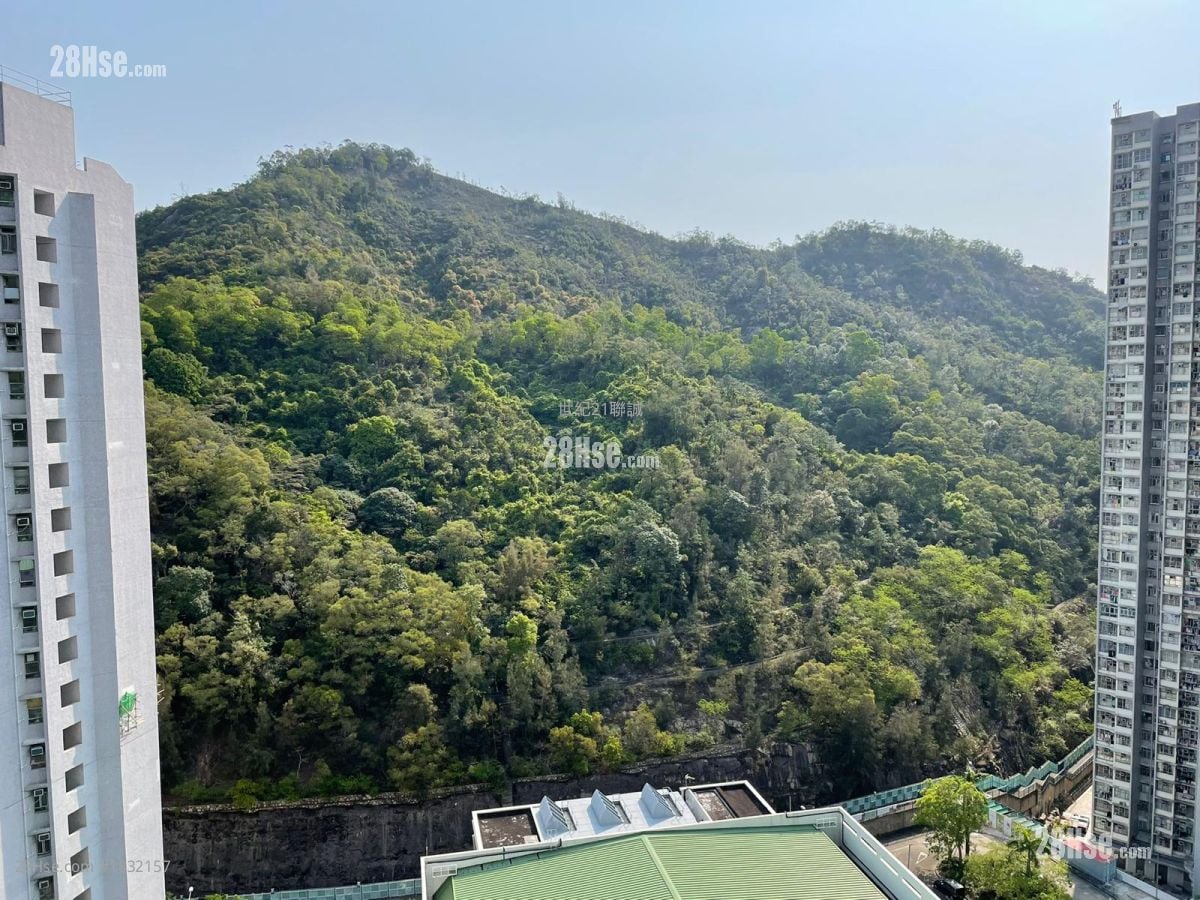 康柏苑 租盘 2 房 , 1 浴室 401 平方尺