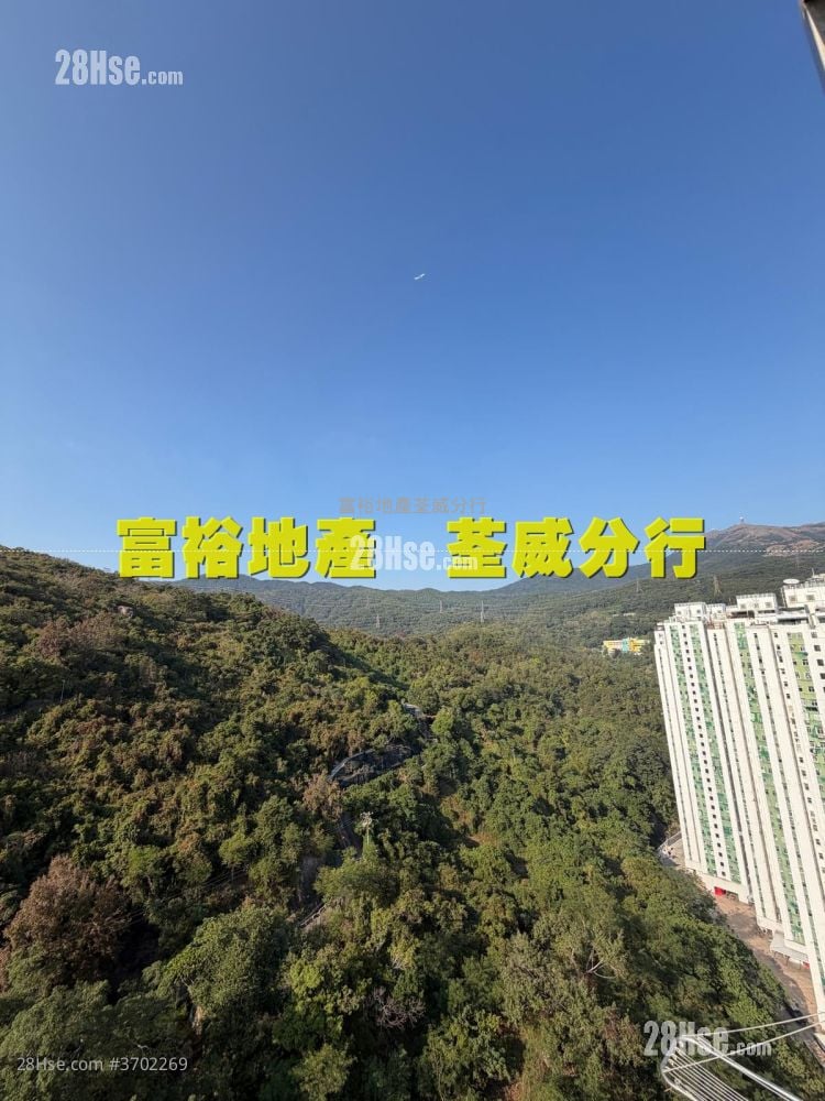 荃威花园 售盘 1 房 , 1 浴室 395 平方尺