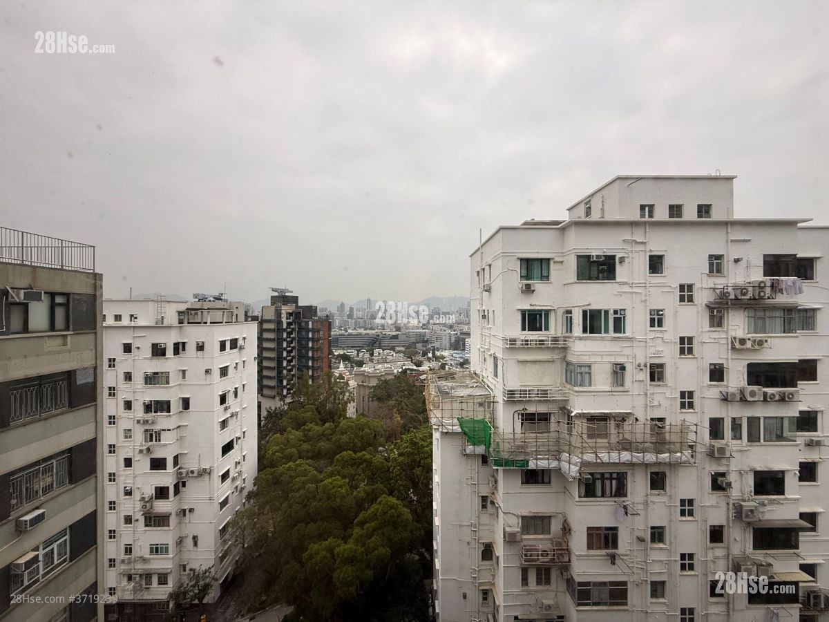 和域台 租盘 260 平方尺