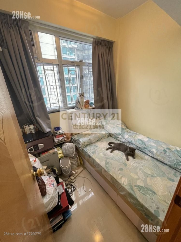 单幢楼房 售盘 3 房 , 1 浴室 389 平方尺