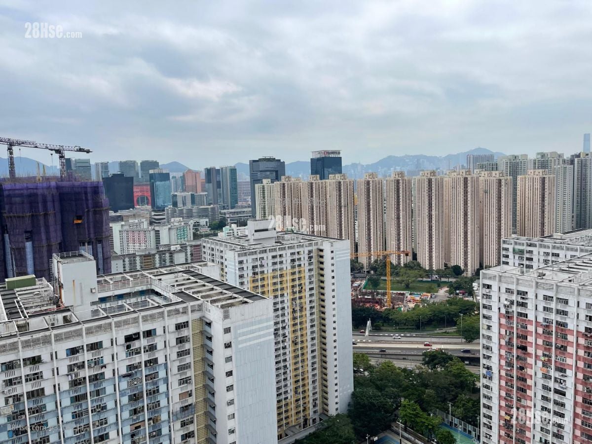 清水湾道8号 售盘 719 平方尺