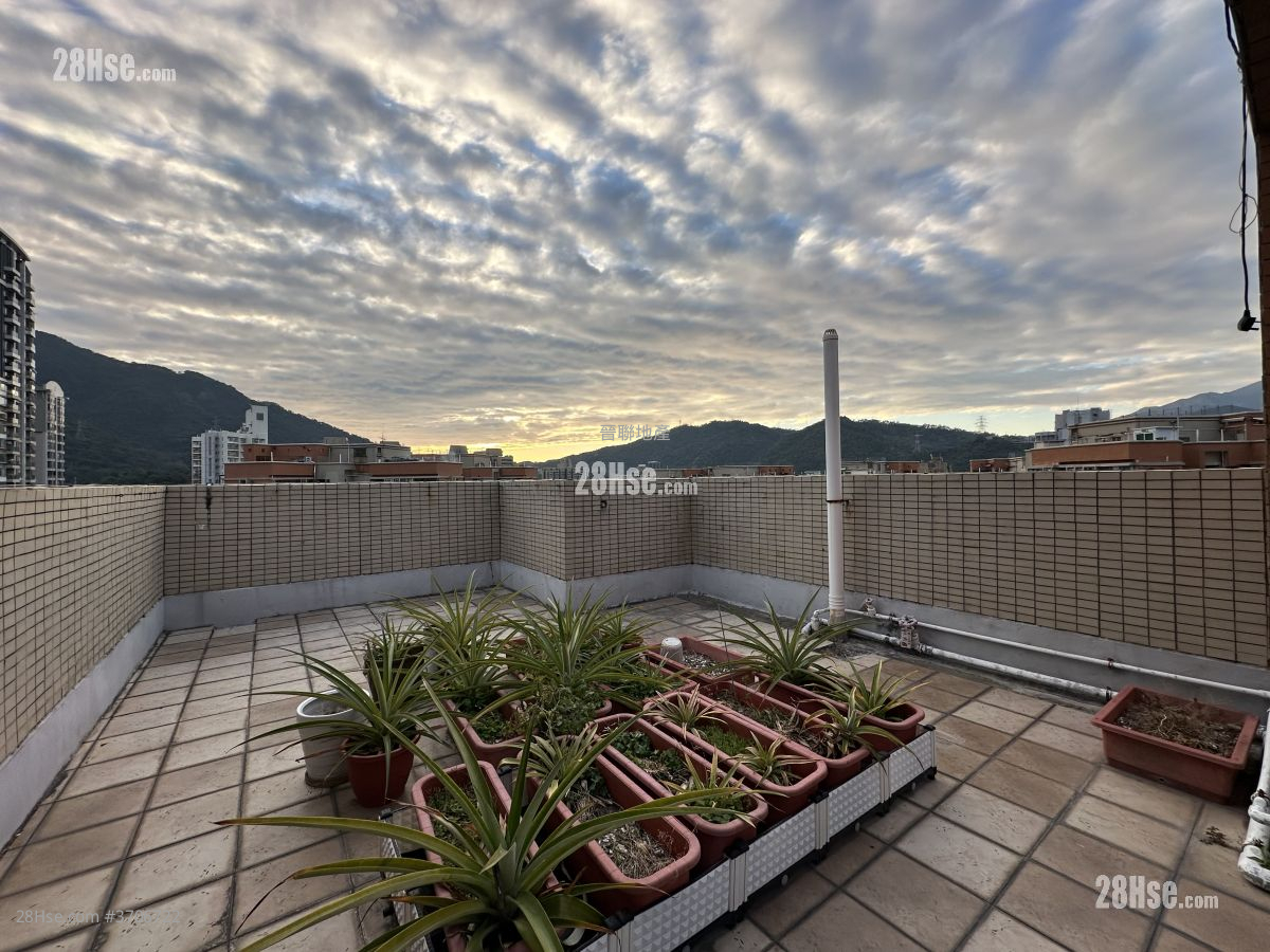 聚龍居 售盤 3 房 , 2 浴室 922 平方呎