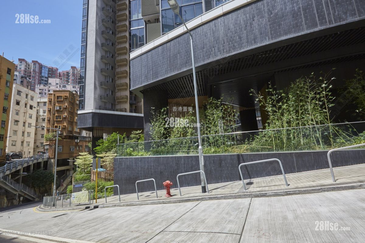 柏蔚山 售盤 3 房 , 3 浴室 805 平方呎