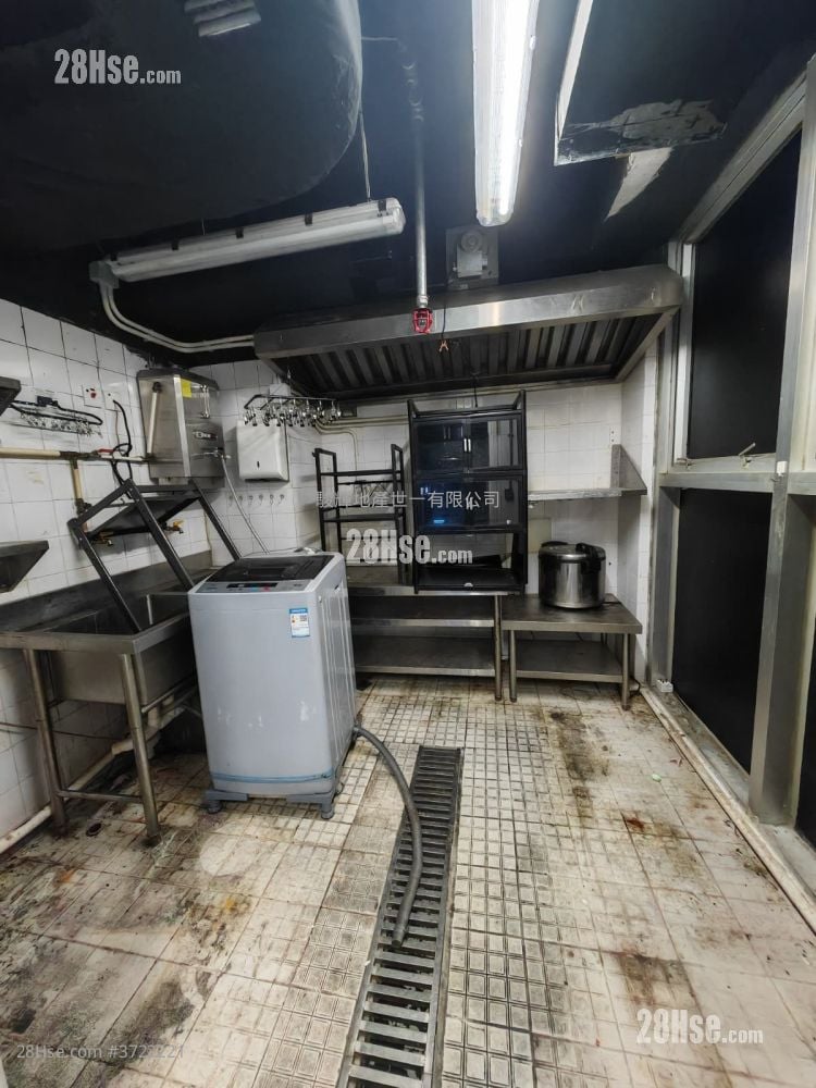 寶勒巷 租盤 5+ 房 , 5+ 廁所