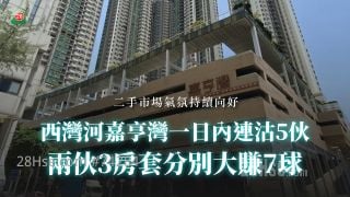 西灣河嘉亨灣一日內連沽5伙 兩伙3房套分別大賺7球！