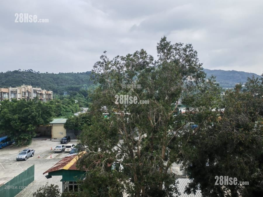 朗峰園 售盤 3 房 , 1 浴室 567 平方呎