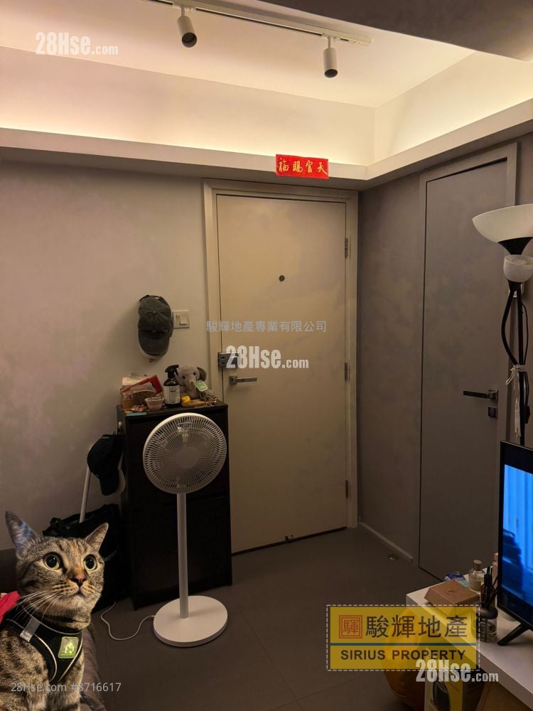 Comfort Court Rental 1 Bedroom , 1 Bathroom 236 ft²