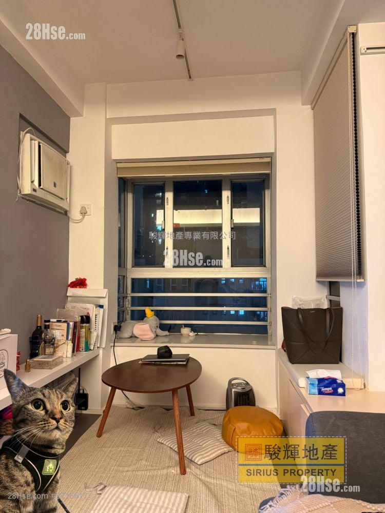 Comfort Court Rental 1 Bedroom , 1 Bathroom 236 ft²