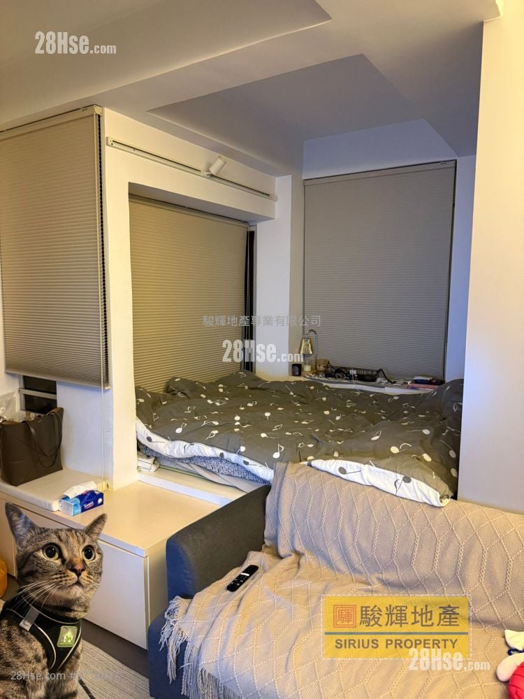 Comfort Court Rental 1 Bedroom , 1 Bathroom 236 ft²