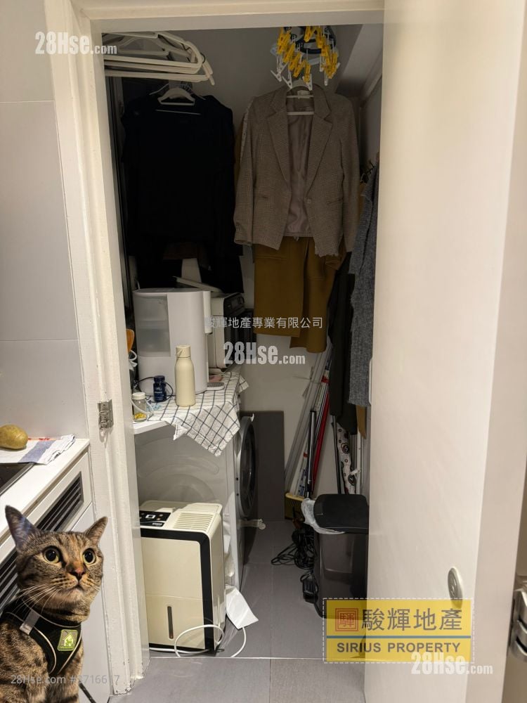 Comfort Court Rental 1 Bedroom , 1 Bathroom 236 ft²