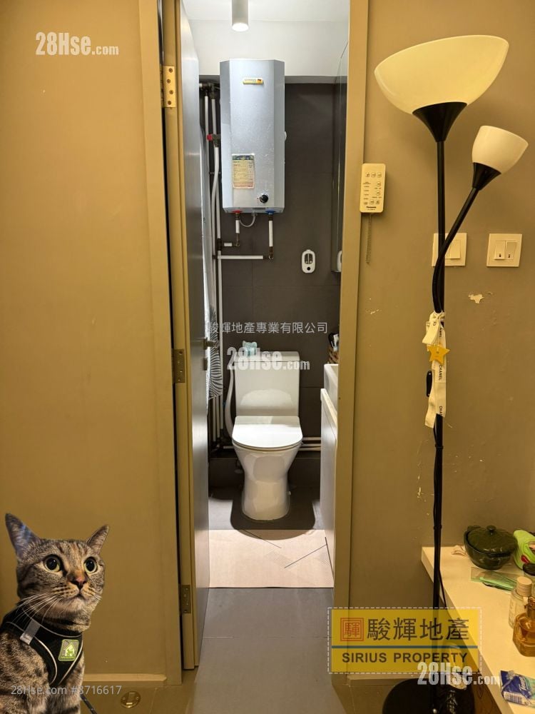 Comfort Court Rental 1 Bedroom , 1 Bathroom 236 ft²