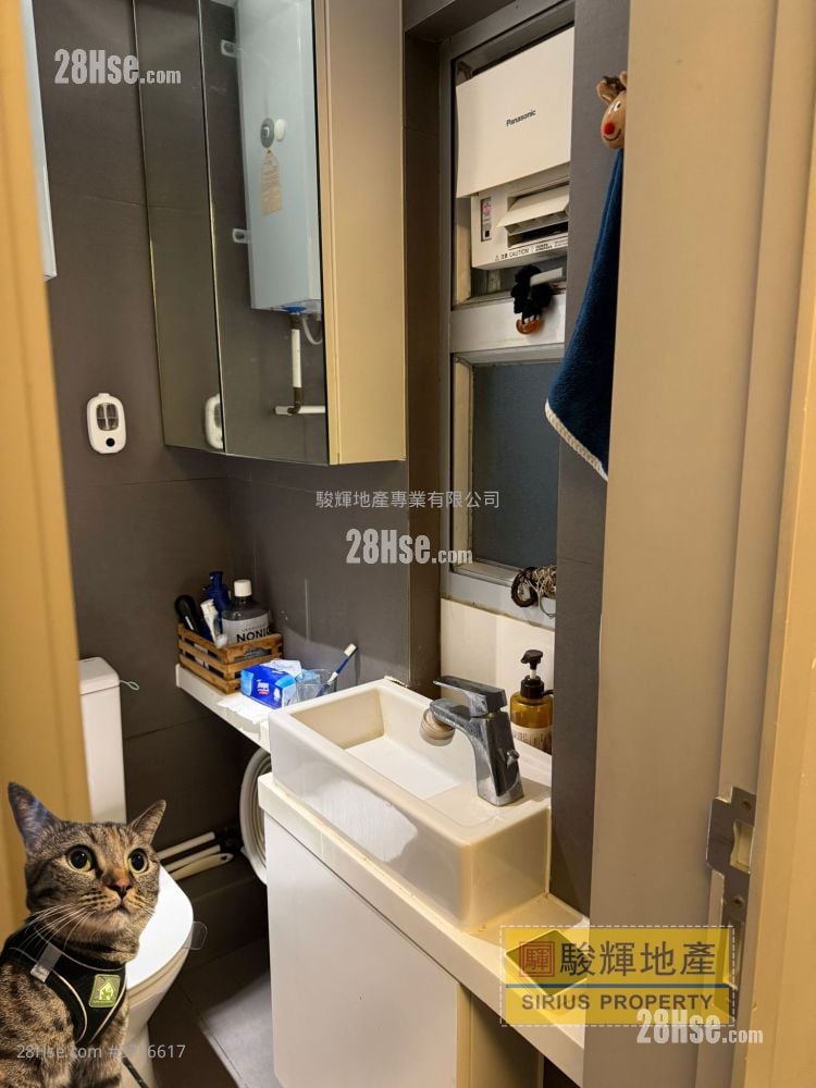 Comfort Court Rental 1 Bedroom , 1 Bathroom 236 ft²