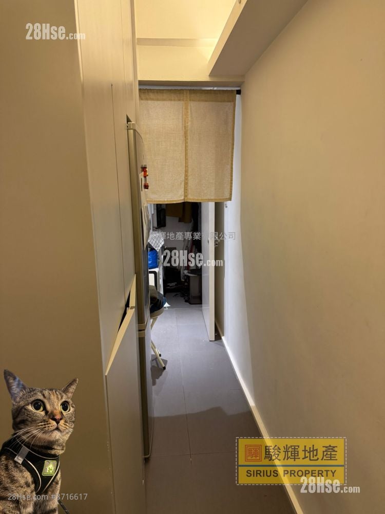 Comfort Court Rental 1 Bedroom , 1 Bathroom 236 ft²