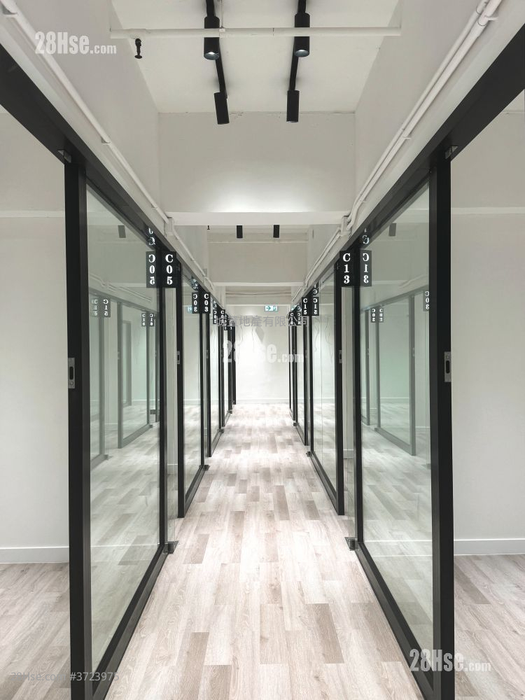 Camel Paint Building Rental