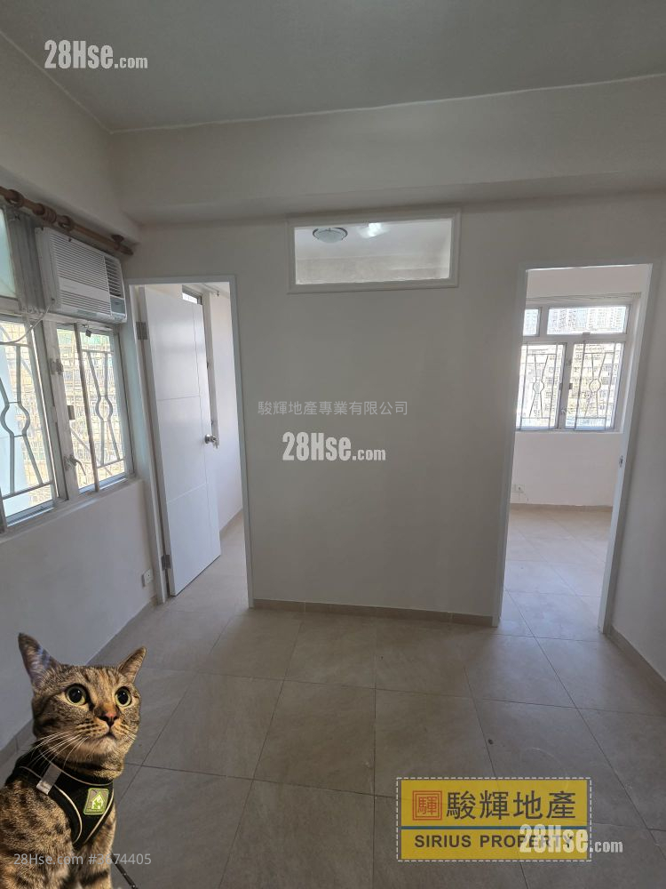 東成大廈(鴨) 租盤 1 房 , 1 浴室 248 平方呎