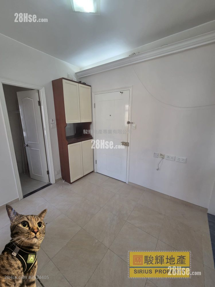 東成大廈(鴨) 租盤 1 房 , 1 浴室 248 平方呎