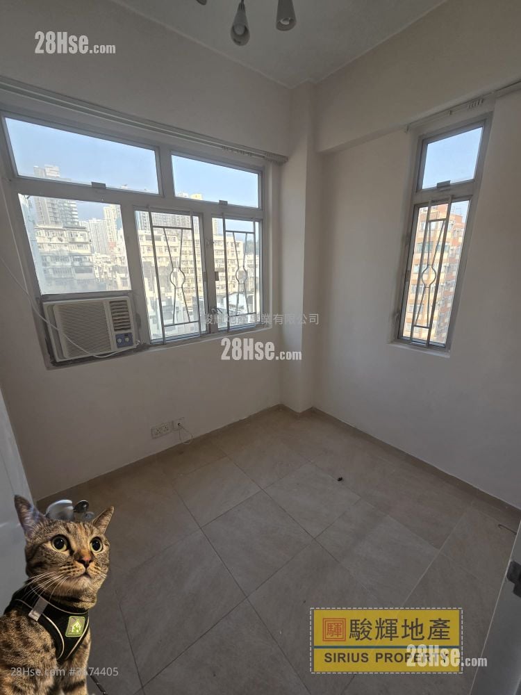 東成大廈(鴨) 租盤 1 房 , 1 浴室 248 平方呎
