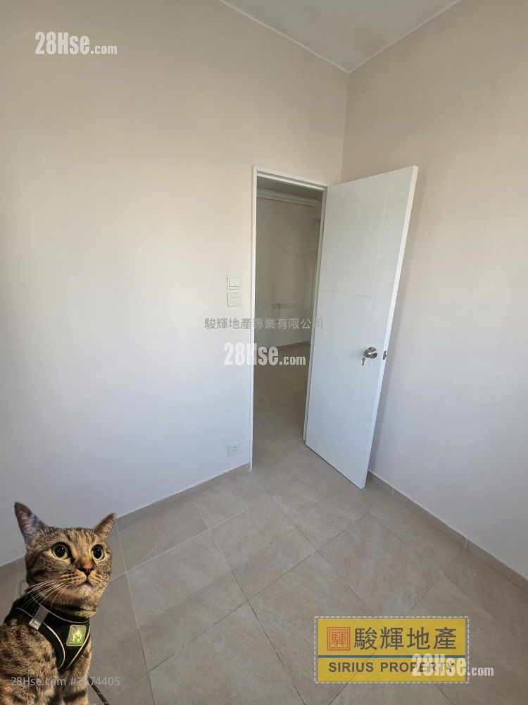 東成大廈(鴨) 租盤 1 房 , 1 浴室 248 平方呎