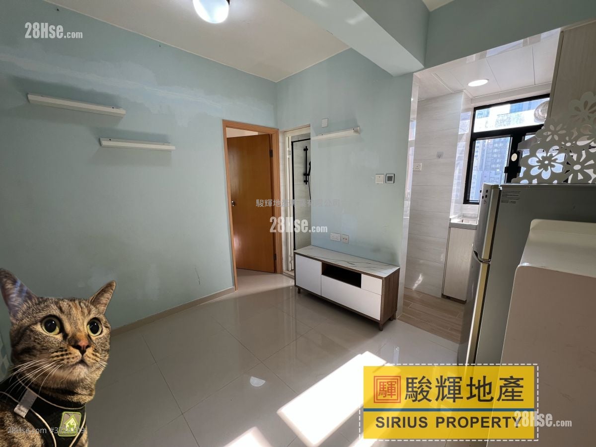 金荔阁 租盘 1 房 , 1 浴室 242 平方尺