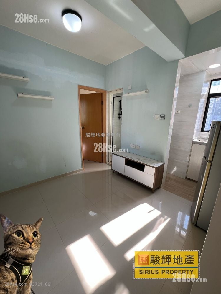 金荔阁 租盘 1 房 , 1 浴室 242 平方尺