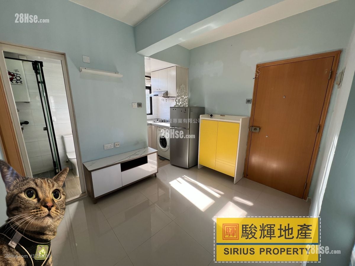 金荔阁 租盘 1 房 , 1 浴室 242 平方尺